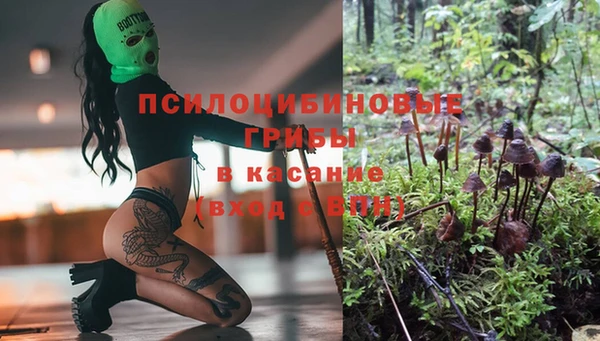спиды Белоозёрский