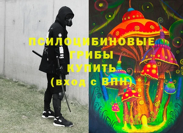 spice Беломорск